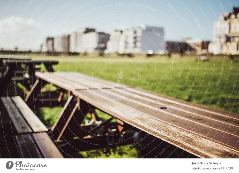 Garden table in the sun Town Outskirts Brighton Bench Table Café Exterior shot England Sunlight Wooden table Outdoor furniture Barbecue (event) Colour photo Day