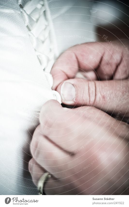 secret moment Dress Illuminate Wedding band Wedding anniversary Wedding dress corset White Dream Bond Corsage Subdued colour Interior shot Close-up Detail Day