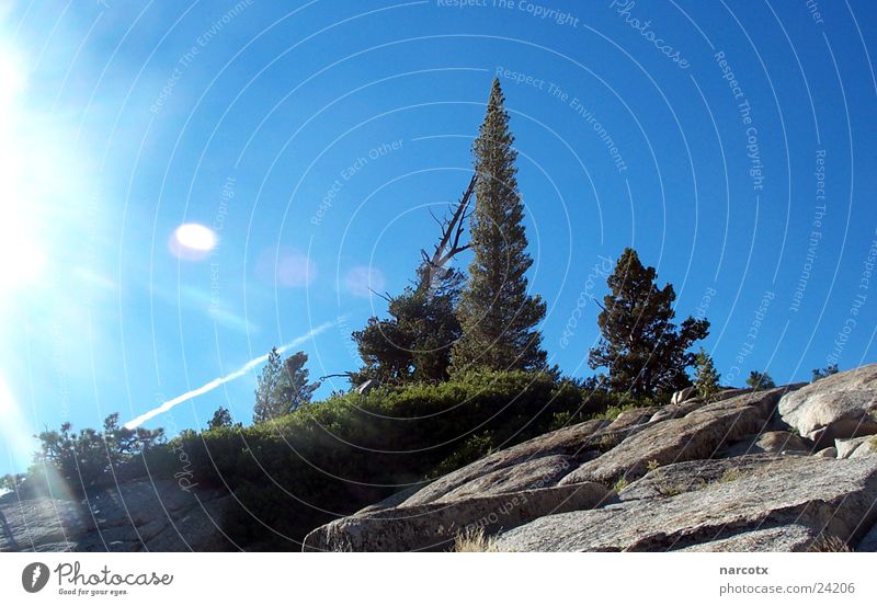 lonely mountain Tree Dazzle Incline Americas South West Mountain Sun Stone Rock USA Smoothness