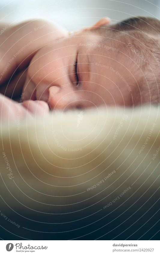 Baby sleeping on a blanket Beautiful Face Calm Bedroom Child Human being Woman Adults Infancy Sleep Authentic Small Naked Cute Comfortable Innocent Copy Space