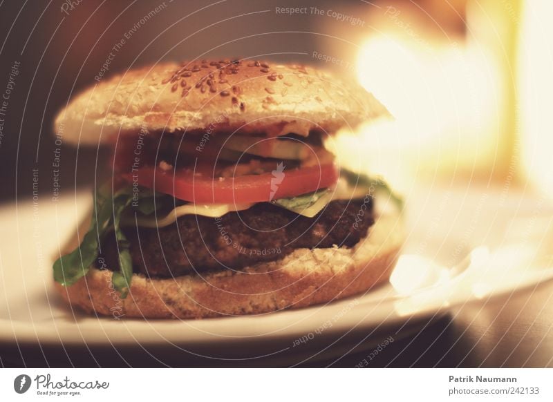 lunch break Food Roll Nutrition Fast food Hamburger Meat loaf Sesame Delicious Appetite Multicoloured Interior shot Close-up Deserted Copy Space right Contrast