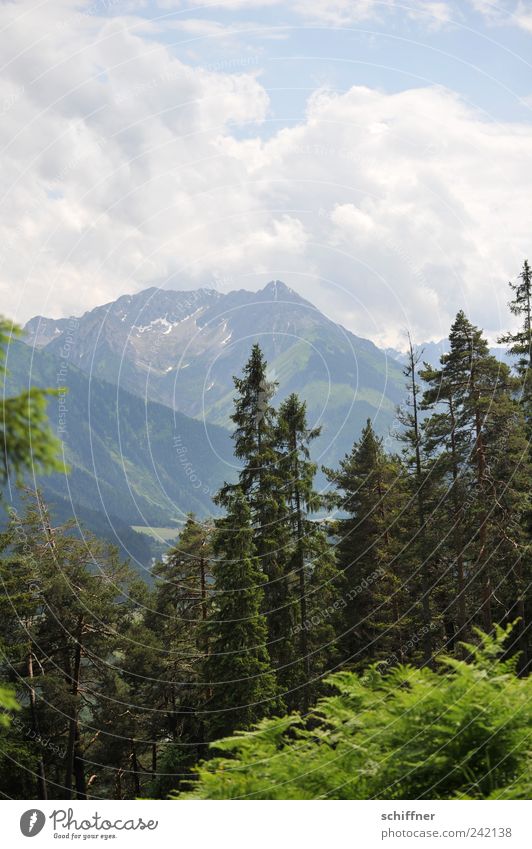 Heimatfilmfotot wallpaper Nature Landscape Sky Clouds Summer Beautiful weather Tree Bushes Forest Alps Mountain Peak Kitsch Cliche Home country