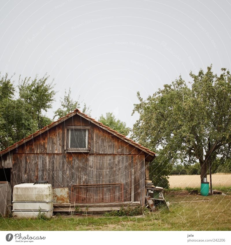 sheds Nature Landscape Plant Sky Tree Grass Bushes Meadow Field Hut Manmade structures Building Old Natural Brown Yellow Gray Green Colour photo Exterior shot