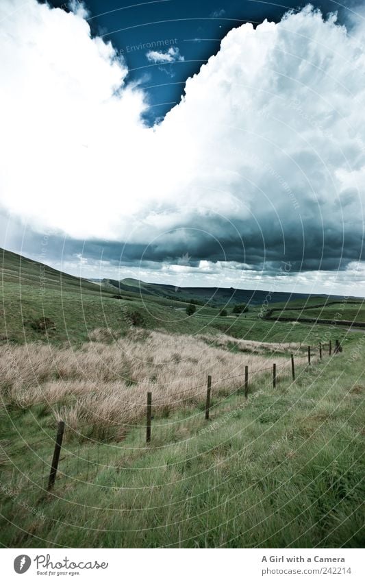 cloudbreak Environment Nature Landscape Plant Elements Sky Clouds Storm clouds Spring Summer Climate Climate change Weather Bad weather Wind Gale Grass Field