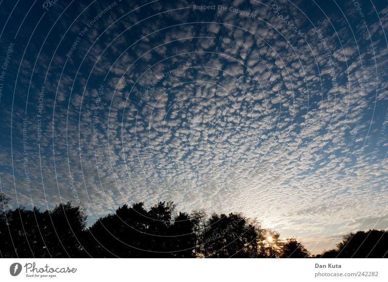 The sky clears up Nature Sky Clouds Summer Beautiful weather Contentment Joie de vivre (Vitality) Optimism Brave Romance Calm Life Formation Cloud field Blue