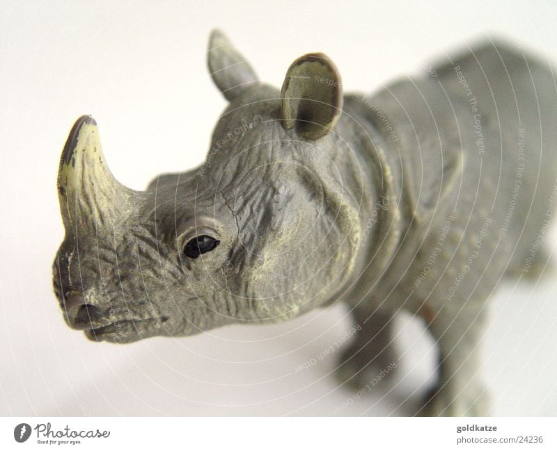 rhinoceros Exotic Playing Zoo Animal Wild animal Rhinoceros 1 Toys Plastic Fight Threat Strong Gray Power Unwavering Dangerous Infancy Nature Environment Anger