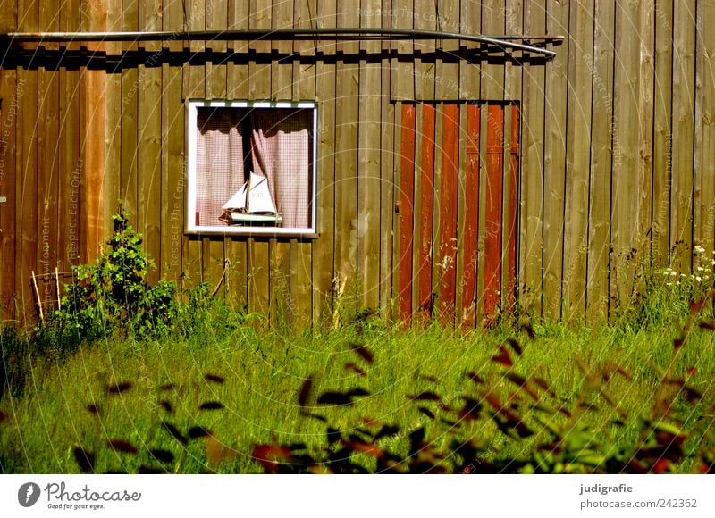 harbour idyll Plant Grass Fishing village House (Residential Structure) Hut Harbour Manmade structures Building Wall (barrier) Wall (building) Facade Window