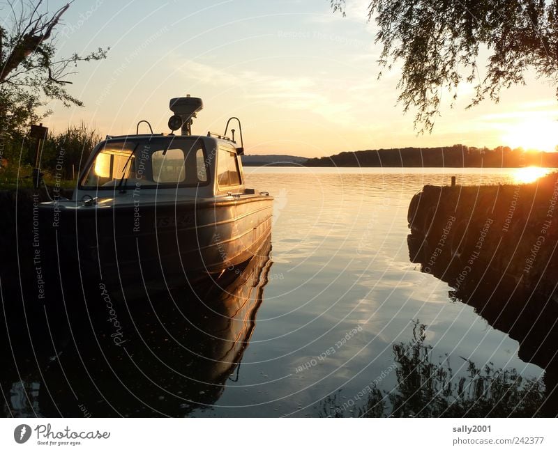 In the safe harbour Vacation & Travel Trip Freedom Summer Sun Landscape Water Sunrise Sunset coast Lakeside Island Fraueninsel Lake Chiemsee Boating trip