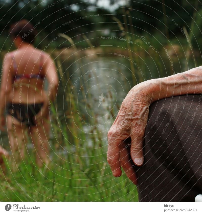 The hand of a very old woman on the lake with a young woman. Generations Female senior twilight years life experience Grandmother Hand 2 Human being age