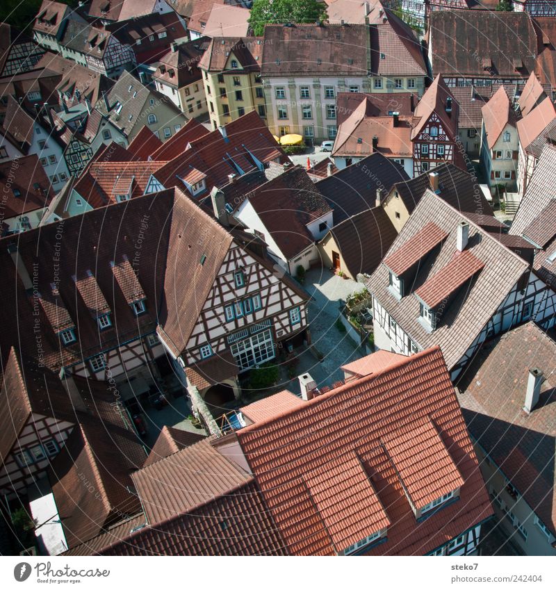 downtown Village Downtown Places Roof Red Half-timbered house Summer's day Bad Wimpfen Rhineland-Palatinate Medieval times Colour photo Exterior shot