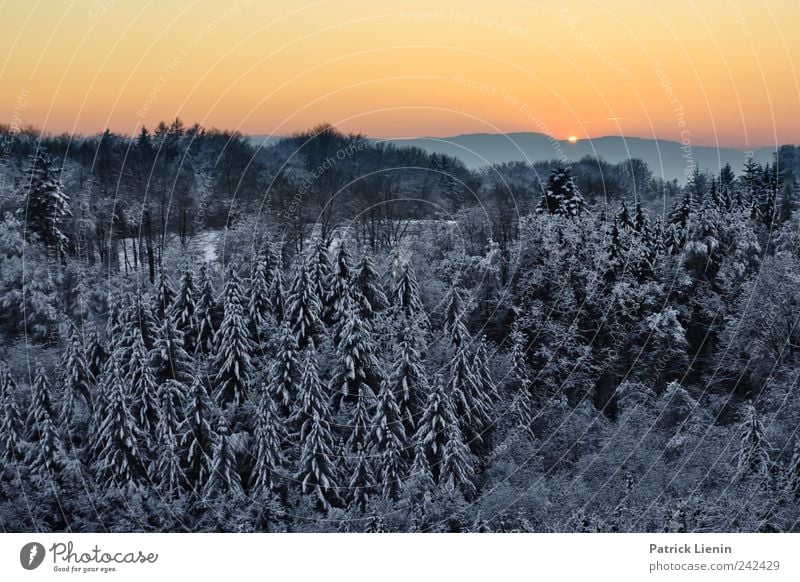 If it were winter now Sun Winter Snow Environment Nature Landscape Elements Sky Cloudless sky Sunrise Sunset Sunlight Weather Beautiful weather Tree Hill