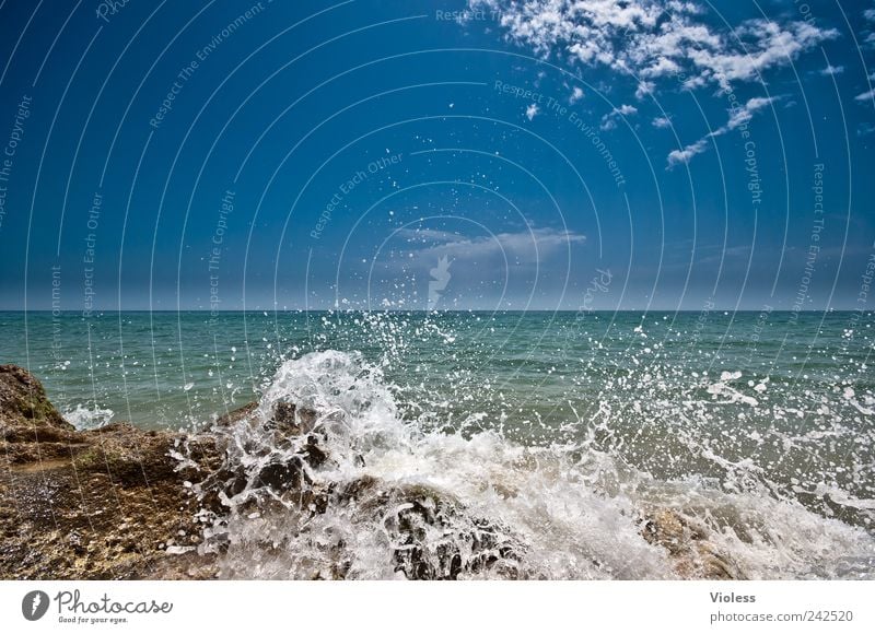 Splash V Landscape Water Drops of water Sky Sunlight Summer Waves Beach Relaxation Blue Cool (slang) Portugal Algarve rock Surf White crest Vacation & Travel