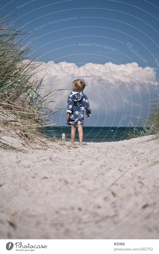 sea air arouses curiosity Vacation & Travel Summer Summer vacation Beach Child Boy (child) 1 Human being 3 - 8 years Infancy Clouds Coast Baltic Sea Observe