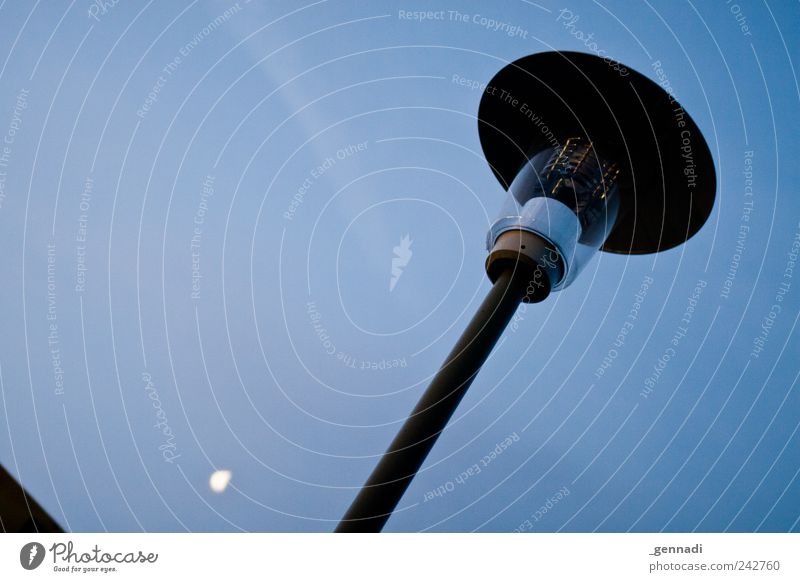 lantern Lantern Lamp post Illuminate Moon Moonlight Sky Cloudless sky Beautiful weather Blue Vice Calm Sadness Cold Colour photo Exterior shot Detail Deserted