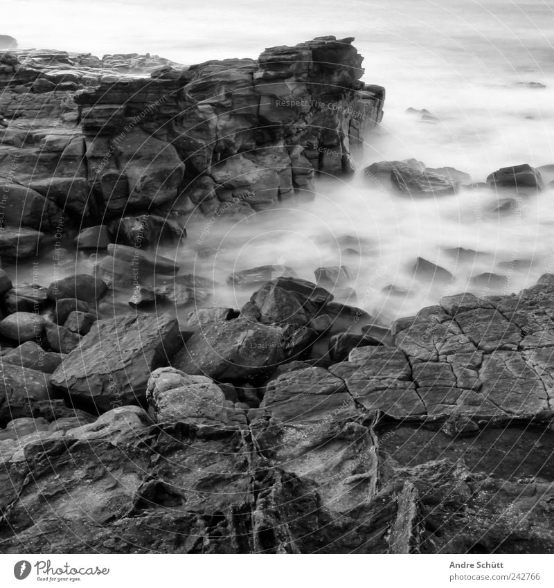 on the rocks (3) Environment Elements Earth Water Rock Waves Coast Exceptional Threat Wet Strong Australia Long exposure Stony Black & white photo Exterior shot