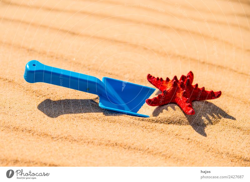 Sandy beach with toy shovel and starfish Joy Relaxation Playing Vacation & Travel Tourism Trip Summer Summer vacation Beach Child Blue Yellow Red "beach," Toys