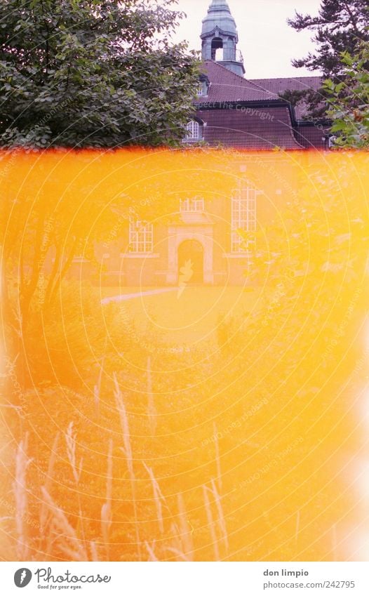 it's getting worse and worse. Garden Summer Park Altona Deserted Church Hot Bright Retro Warm-heartedness Analog Light leak Orange Old Colour photo