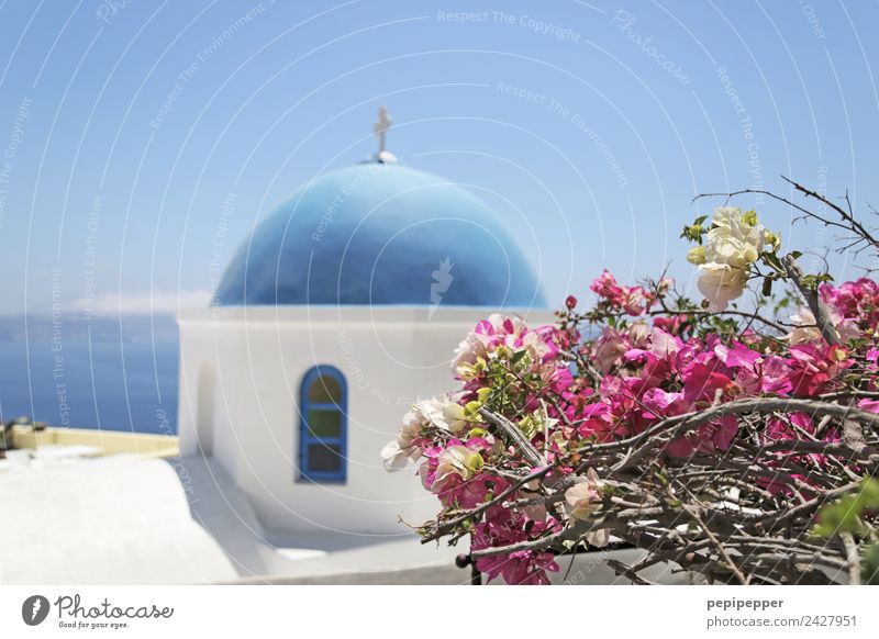 SANTORINI Vacation & Travel Tourism Trip City trip Summer Living or residing House (Residential Structure) Sky Blossom Coast Santorini Greece Small Town Church