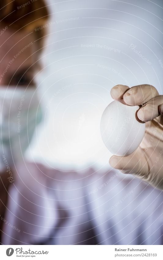 a chicken egg is examined in a laboratory Laboratory Profession Human being Feminine 1 Work and employment Hen's egg investigation germs pollutants Hygiene