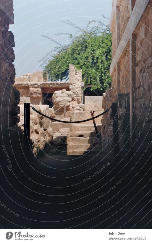 knossos Trip Bushes Wall (barrier) Wall (building) Stairs Facade Old Historic Timidity Museum Archeology Knossos Ruin Excavation Ancient civilization Mythology