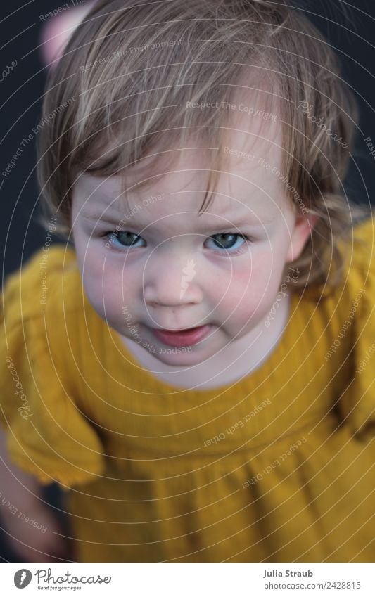 Girl in mustard yellow dress with sceptical look Feminine Toddler girl 1 Human being 1 - 3 years Dress brunette Looking Stand Cute Yellow Black Infancy