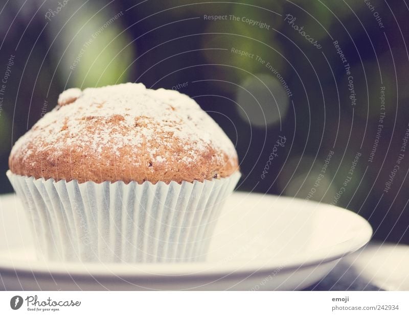 Muffin, powdered Dough Baked goods Dessert Candy Finger food Delicious Unhealthy Plate Edge of a plate Confectioner`s sugar Colour photo Exterior shot