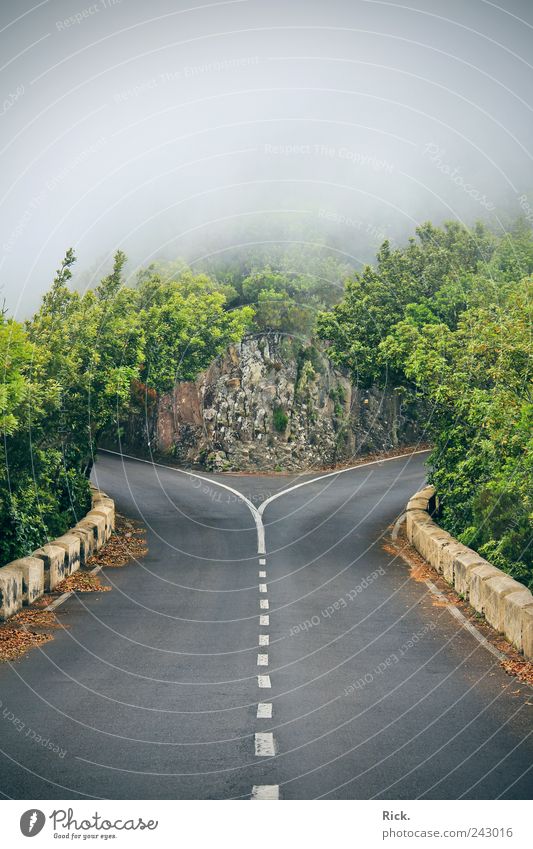 Decision. Freedom Environment Nature Elements Air Clouds Storm clouds Rock Traffic infrastructure Road traffic Line Select Discover Threat Dark Creepy Judicious