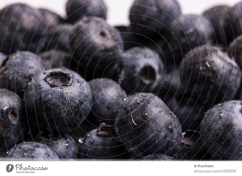 Lots of blueberries Food Fruit Organic produce Shopping Fresh Healthy Blue Violet Black Blueberry Harvest Market stall Vitamin Many Cooking Ingredients