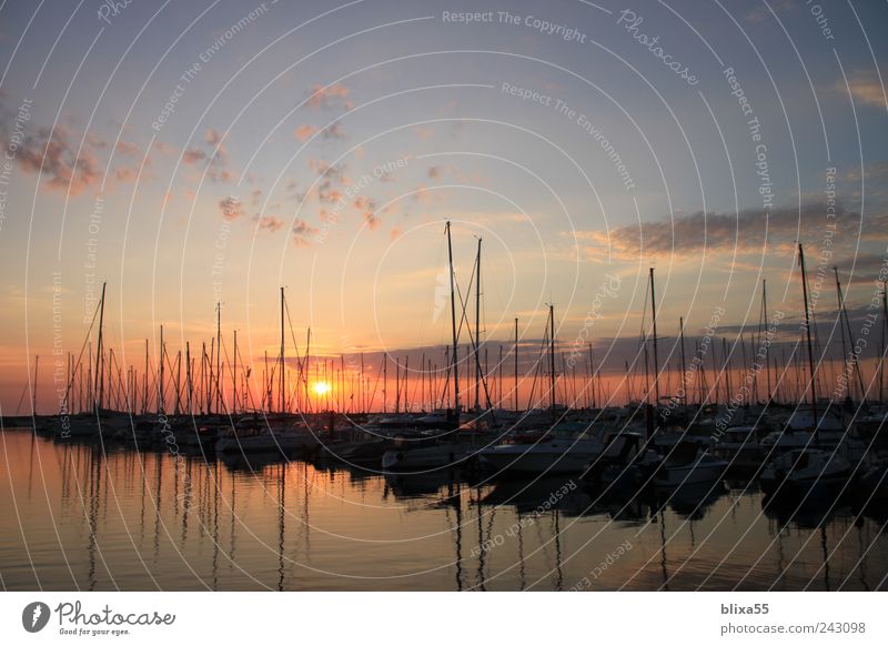 marina Sky Sunrise Sunset Sunlight Baltic Sea Kühlungsborn Port City Deserted Harbour Sailboat Sailing ship Yacht harbour Romance Colour photo Exterior shot