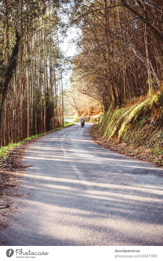 Forest road landscape with couple riding motorbike Lifestyle Leisure and hobbies Vacation & Travel Tourism Trip Adventure Freedom Couple Adults Nature Landscape