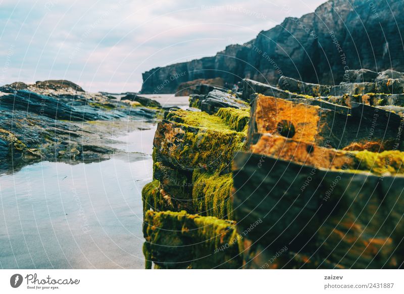 puddle with reflection of stones with seaweed on the beach Exotic Vacation & Travel Tourism Ocean Island Waves Environment Nature Landscape Sand Water Climate