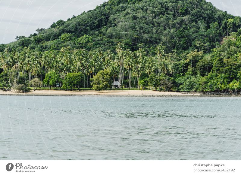 place to be Vacation & Travel Tourism Far-off places Summer Summer vacation Beach Ocean Thailand Deserted Loneliness Exotic Virgin forest Hut Palm tree Mountain