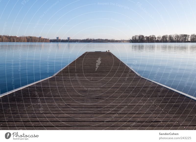 rest Calm Environment Nature Landscape Water Sky Cloudless sky Summer Beautiful weather Lake Berlin Tegel Deserted Think Relaxation Lie Swimming & Bathing Jump