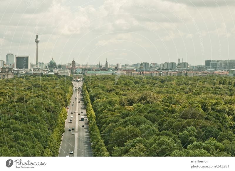 View of Berlin television tower skyline Capital city Television tower City trip Downtown Skyline Park Landmark Traffic infrastructure Straße des 17. Juni Green