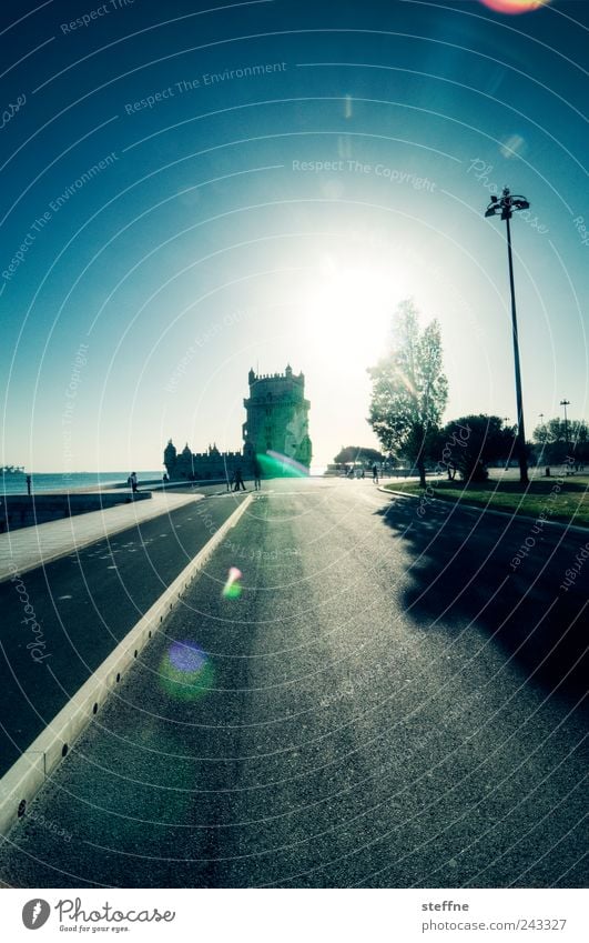 Torre de Chemnitz with straight horizon Cloudless sky Sun Sunrise Sunset Sunlight Beautiful weather Tree Lisbon Portugal Old town Tourist Attraction Landmark