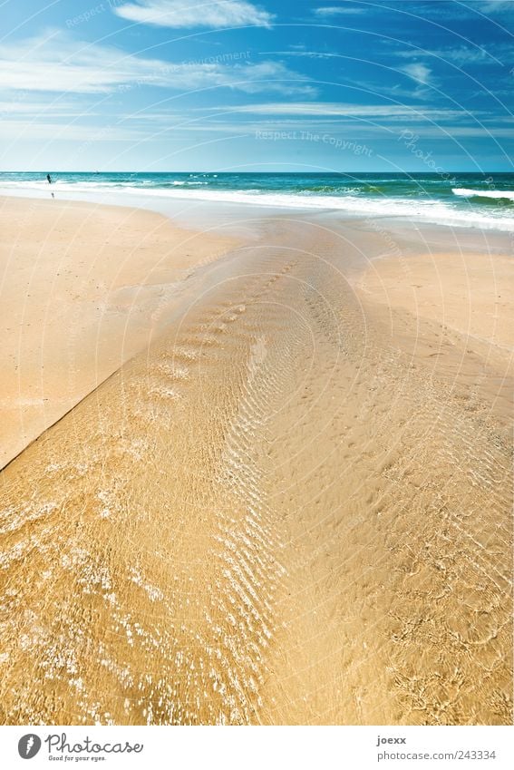 Always sea Vacation & Travel Far-off places Freedom Summer Summer vacation Beach Ocean Waves 1 Human being Water Sky Clouds Beautiful weather North Sea Blue