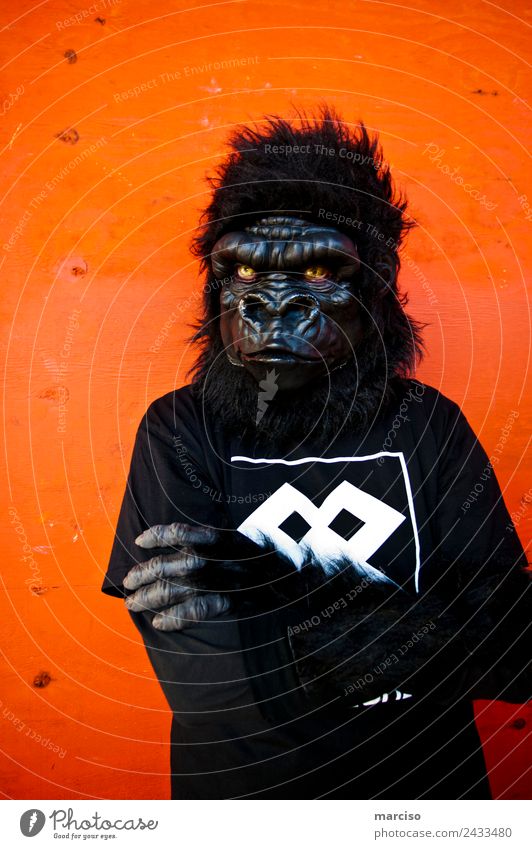 gorilla Body 1 Human being Gorilla Monkeys Orange Black Threat Protest Power Town Posture Colour photo Exterior shot Neutral Background Day Contrast