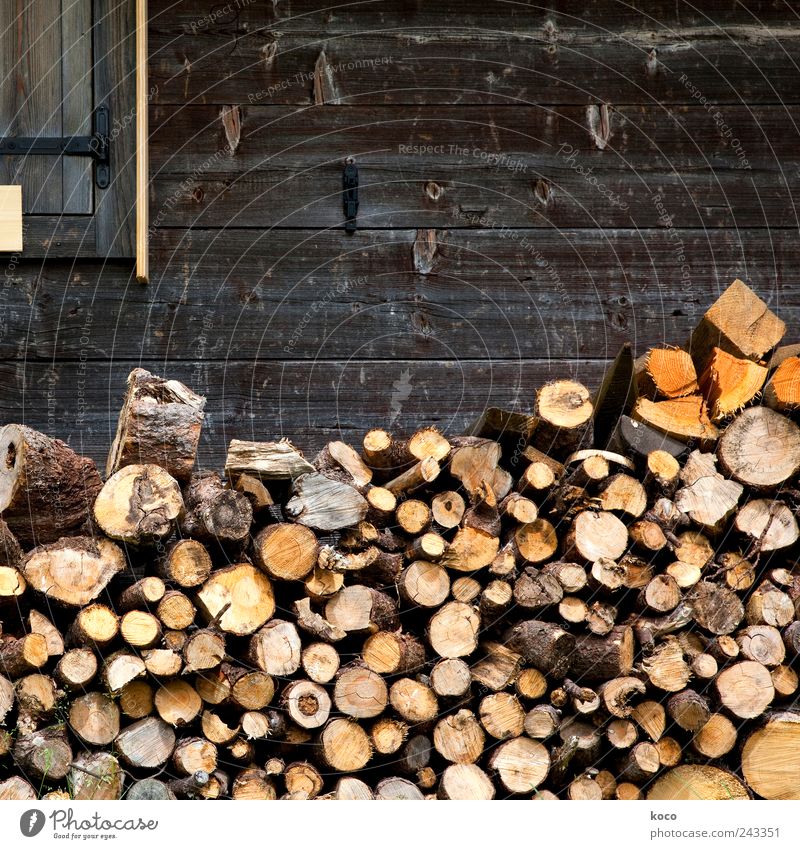 Mountain pasture photo III Summer vacation Renewable energy Village Hut Wall (barrier) Wall (building) Stack of wood Wooden wall Wooden board Build Simple Firm