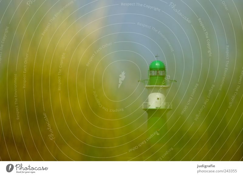 Warnemünde Environment Nature Landscape Plant Summer Grass Coast Beach Baltic Sea Lighthouse Beacon Green Moody Hide Colour photo Exterior shot Day Blur