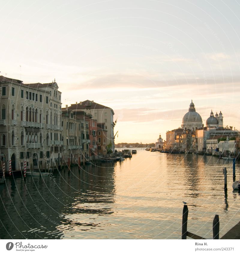 canal grande Vacation & Travel Tourism Trip Sightseeing City trip Summer Beautiful weather Venice Old town Deserted Tourist Attraction Inland navigation