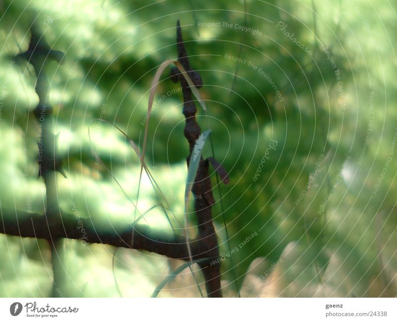 eternity Fence Cemetery Iron Grass Fence post Dreamily Old Nature