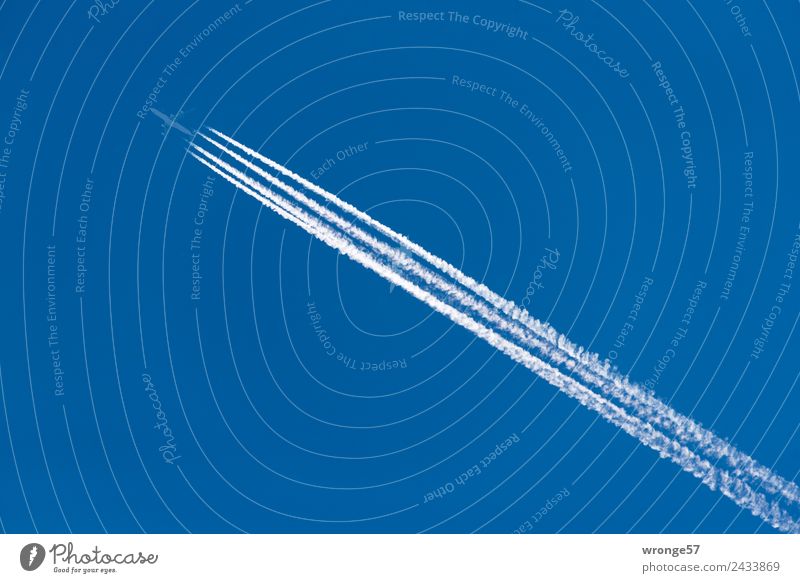 long-haul aircraft Vacation & Travel Far-off places Aviation Airplane Passenger plane Flying Tall Cold Blue White Fear of flying Speed Sky Skyward Blue sky