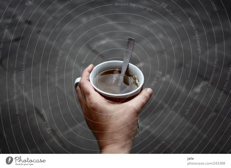 tea Beverage Drinking Hot drink Tea Cup Spoon Hand Good Retentive Colour photo Exterior shot Copy Space left Copy Space right Copy Space top Neutral Background