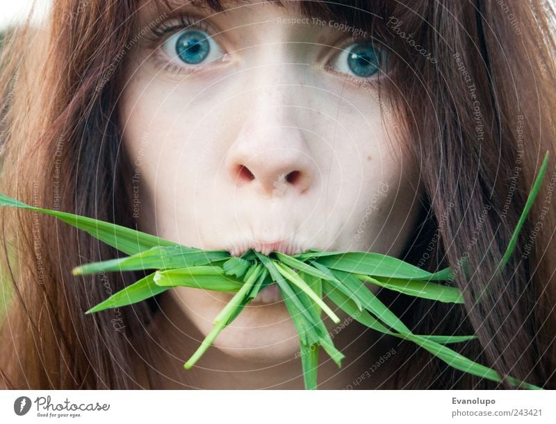 nabbed Human being Feminine Young woman Youth (Young adults) Head Hair and hairstyles Face Eyes Nose Mouth 1 Discover Eating Exotic Creepy Beautiful Near Brown