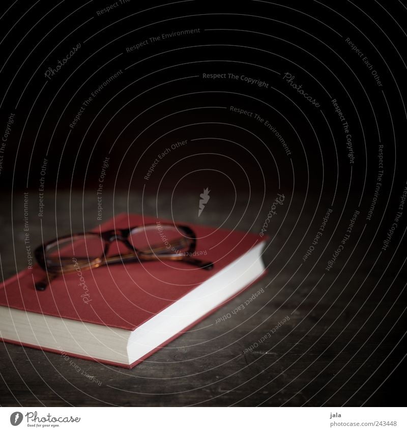 bedtime reading Book Eyeglasses Spectacle frame Wood Simple Brown Red Black Colour photo Interior shot Deserted Copy Space right Copy Space top Day