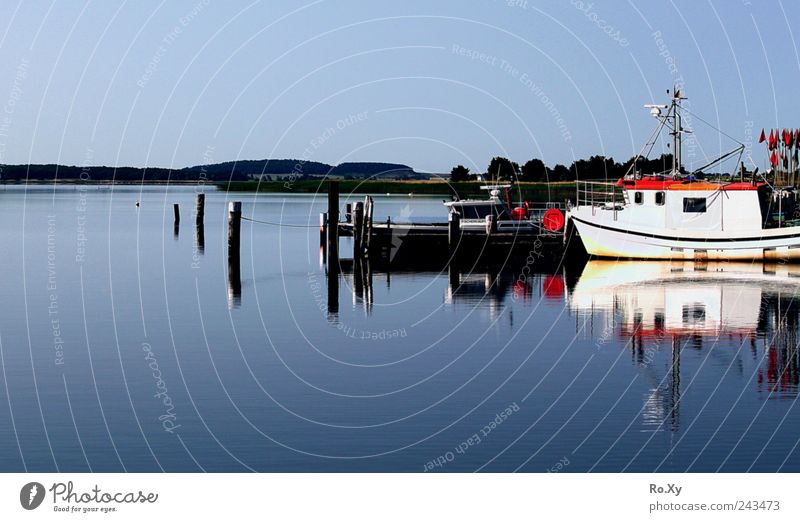 A sunny day on Rügen at the Baltic Sea Vacation & Travel Summer Summer vacation Beach Ocean Waves Nature Landscape Water Coast Island Idyll Harbour Watercraft