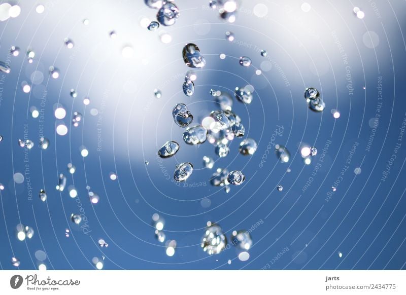 fresh II Elements Water Drops of water Sky Summer Beautiful weather Flying Fluid Fresh Healthy Wet Natural Blue Nature Colour photo Exterior shot Close-up