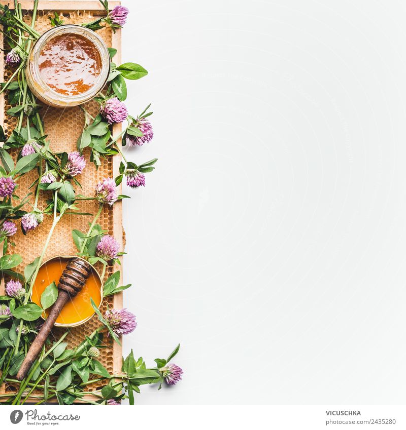 Honey in a jar with ladles, honeycombs and wild flowers Life Yellow dipper frame Wild white Background picture Top view healthy food flat lay border vertical