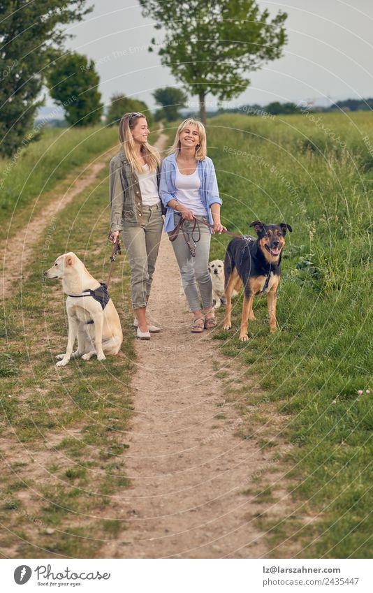 Happy laughing young women walking their dogs Lifestyle Beautiful Summer Woman Adults Friendship 2 Human being 18 - 30 years Youth (Young adults) 45 - 60 years