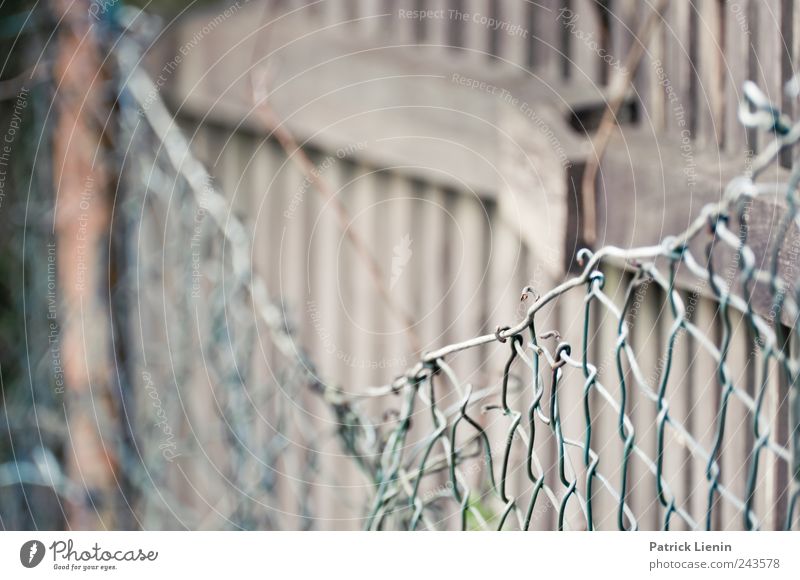 behind Wood Broken Fence Wire Hiding place Wooden stake Fence post Colour photo Exterior shot Structures and shapes Deserted Day Blur Shallow depth of field